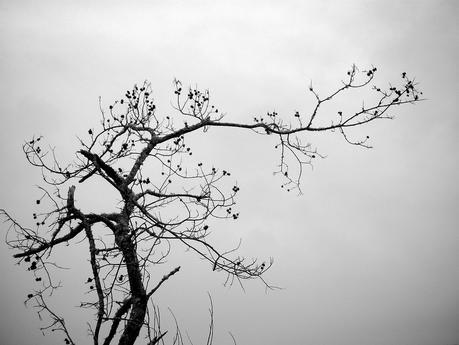 serradeoutes_68_20150216 - Version 2