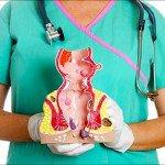 Con el tiempo, la cirugía es el tratamiento de elección para las hemorroides