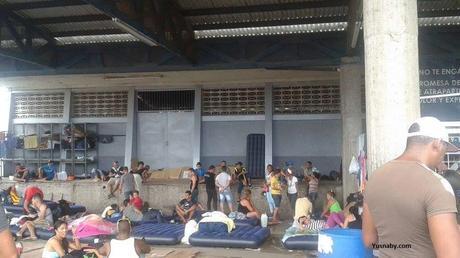 cubanos Paso Canoas 2