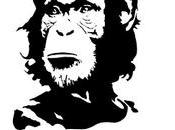 ChimpanCHE Guevara?