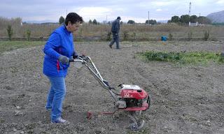 Aprendiendo agricultura ecológica