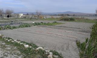 Aprendiendo agricultura ecológica