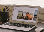 habilidades para productivos trabajo