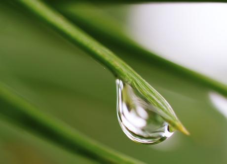 Consejos fáciles para enseñarles a cuidar el agua desde pequeños