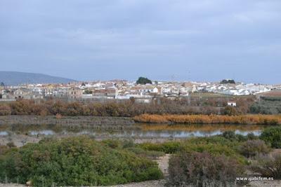 Laguna de Fuente Piedra