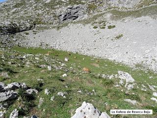 La Tiese-Ceñal-Vega de Aliseda-El Picón del Conjurtáu-Resecu