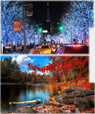 Savvy, colección OI15-16 de Barqet Savvy, colección OI15-16 de Barqet