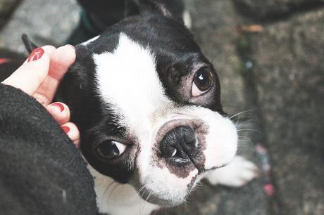 Escapadas: OPorto (y sus tiendas bonitas)