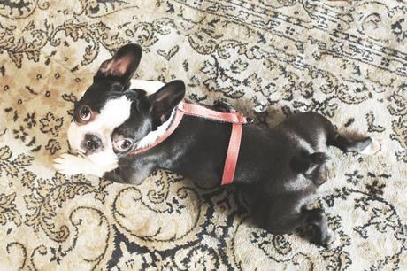 Escapadas: OPorto (y sus tiendas bonitas)