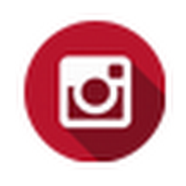 Estrellas en Navidad