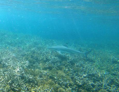 PERHENTIAN ISLANDS