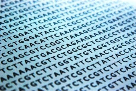 Algoritmo para detectar errores en la secuencia de ADN