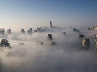 EL MUNDO SECRETO DE BASILIUS HOFFMAN: UN FARO EN LA OSCURIDAD