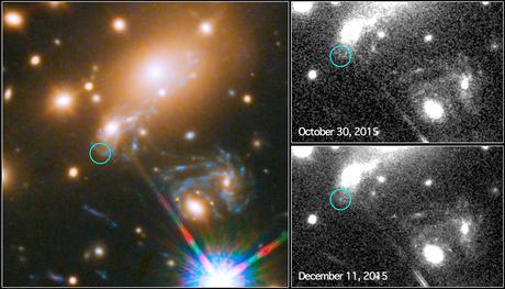 Detección de la supernova predicha a reaparecer en cúmulo de galaxias