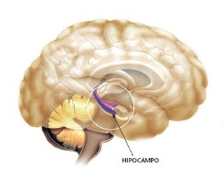 EL HOMBRE CON 7 SEGUNDOS DE MEMORIA.