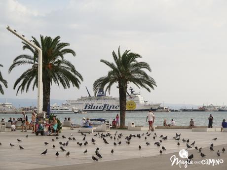 Split (o cuando la imaginación te miente a medias) IMG_0120