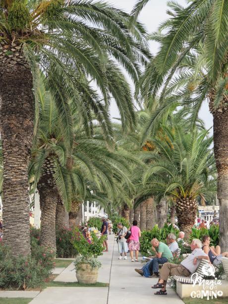 Split (o cuando la imaginación te miente a medias) IMG_0127