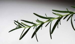 5 remedios caseros para el dolor de cabeza 5 remedios caseros para el dolor de cabeza