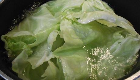 10 Ingeniosos remedios caseros para la colitis