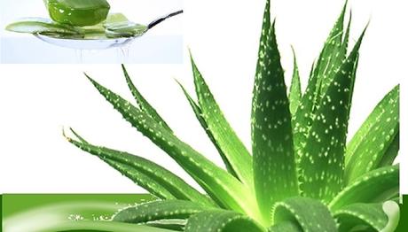 10 Ingeniosos remedios caseros para la colitis