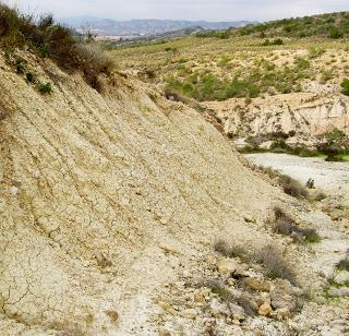 El barro de las jarras islámicas de Ils, Elche.