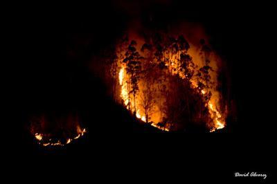 El infierno en Asturies: ¿quién quema el monte y quién los ampara?