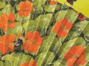 “Bashō, loco poesía”, Françoise Kerisel Frédéric Clément. precioso álbum ilustrado acerca figura padre haiku