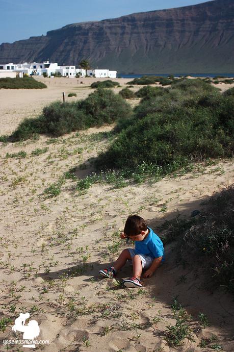 playa de la graciosa