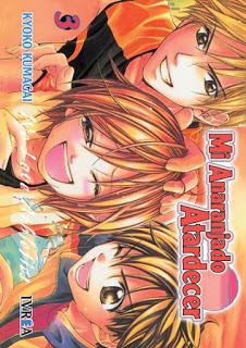 Mi anaranjado atardecer, de Kyoko Kumagai