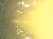 Alderaan