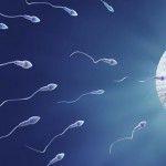Cómo aumentar la cantidad de espermatozoides y mejorar la calidad del esperma de forma natural