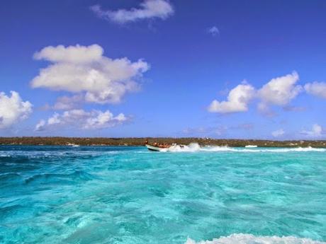 Acuario Cay. San Andrés. Colombia