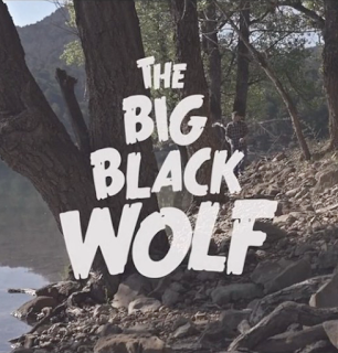 Los 3 singles del 2015