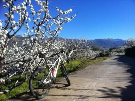 Valle del Jerte en MTB