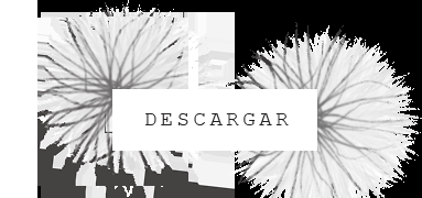 Calendarios 2016: gratuitos y listos para imprimir!