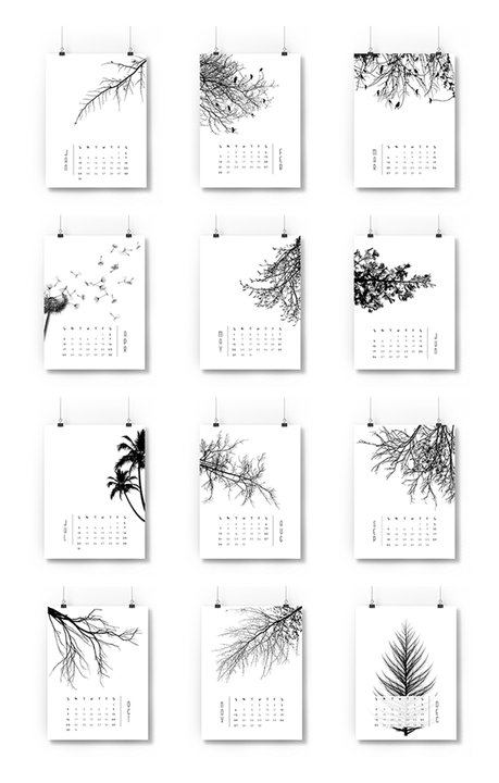 Calendarios 2016: gratuitos y listos para imprimir!