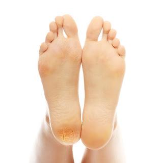 farmaceuticainmavinue