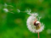 tomar viento
