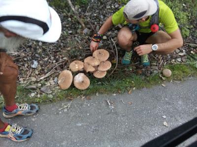 Reto 360º Solidarios, etapa 9: Benaoján-Casares