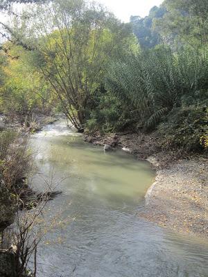 Reto 360º Solidarios, etapa 9: Benaoján-Casares