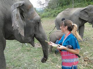 CHIANG MAI