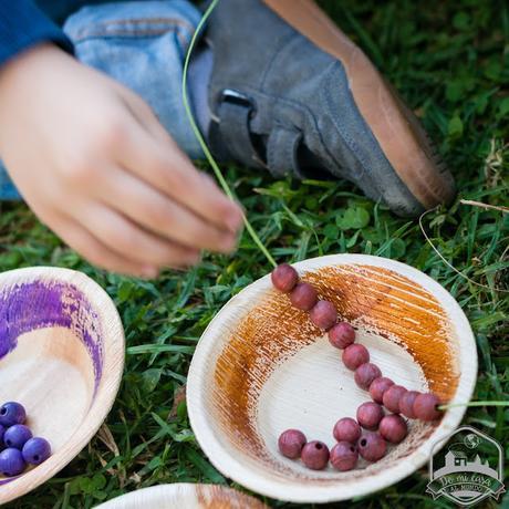 Cadena anual del ritmo de la vida