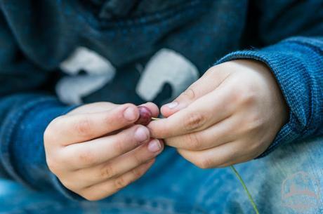 Cadena anual del ritmo de la vida