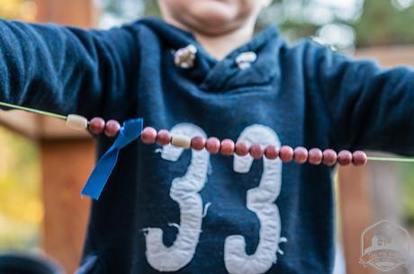 Cadena anual del ritmo de la vida