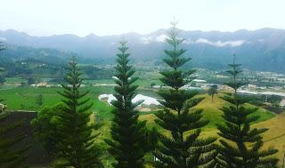 Navidades diferentes en Constanza