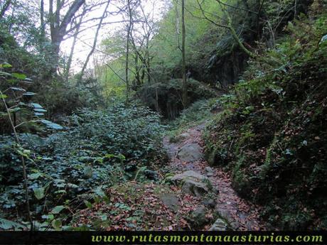 Ruta Pienzu por Mirador Fito y Biescona: Sendero en la Biescona