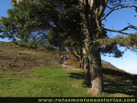 Ruta Pienzu por Mirador Fito y Biescona: Pinos y una pequeña subida