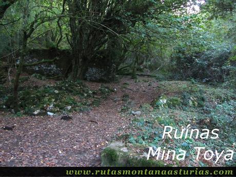 Ruta Pienzu por Mirador Fito y Biescona: Ruinas de mina la toya