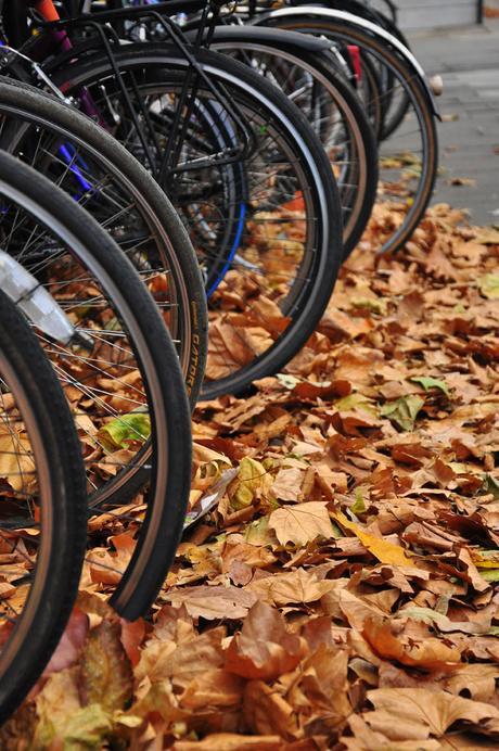 Guía para seleccionar los mejores neumáticos para invierno (primera parte)