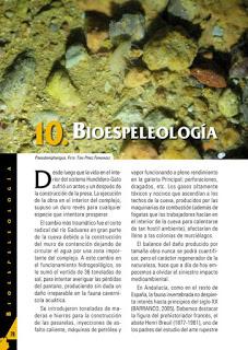 Bioespeleología en el Sistema Hundidero-Gato